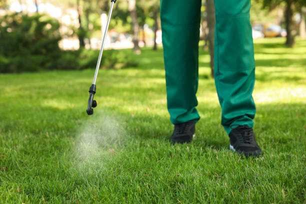 Best Affordable Pest Control Services  in Edgewood, WA