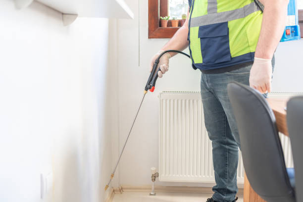 Best Local Pest Control Services  in Edgewood, WA