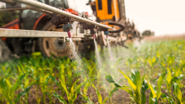 Reliable Edgewood, WA Pest Control Solutions